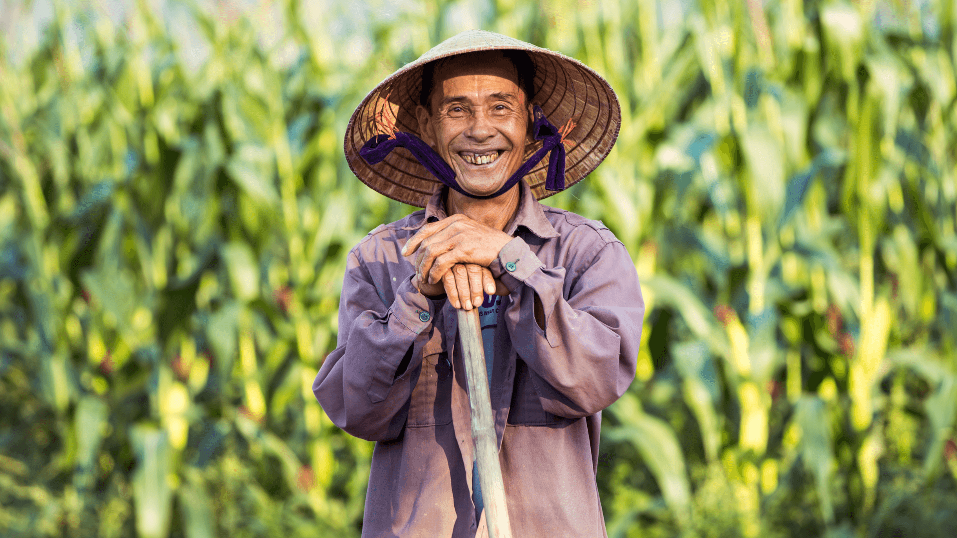 Mật ong rừng tự nhiên