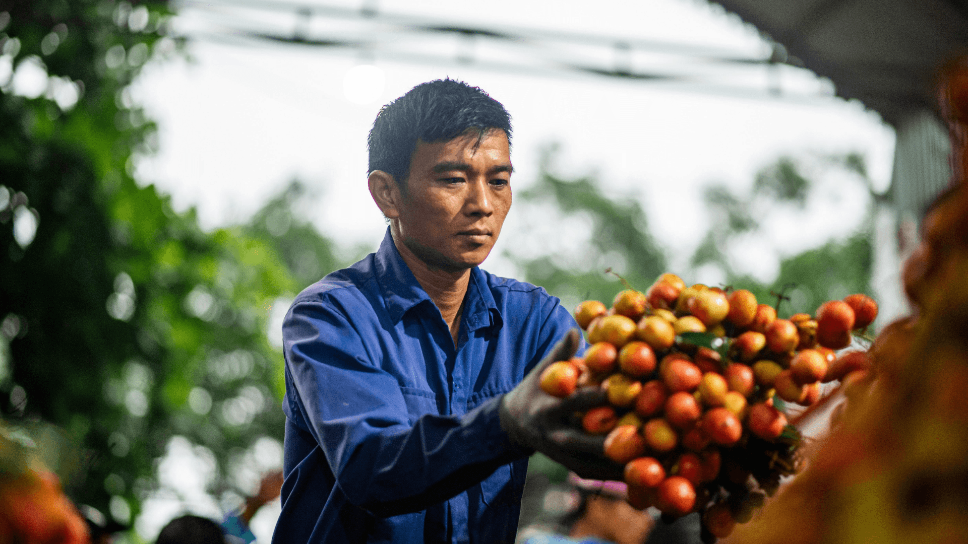Nông nghiệp có trách nhiệm bắt đầu từ đâu?